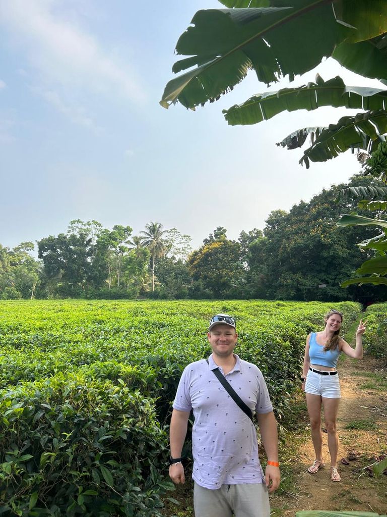 Walking through a tea plantation